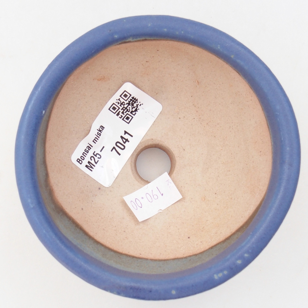 Bol à bonsaï en céramique 9,5 x 9,5 x 5 cm, couleur bleu