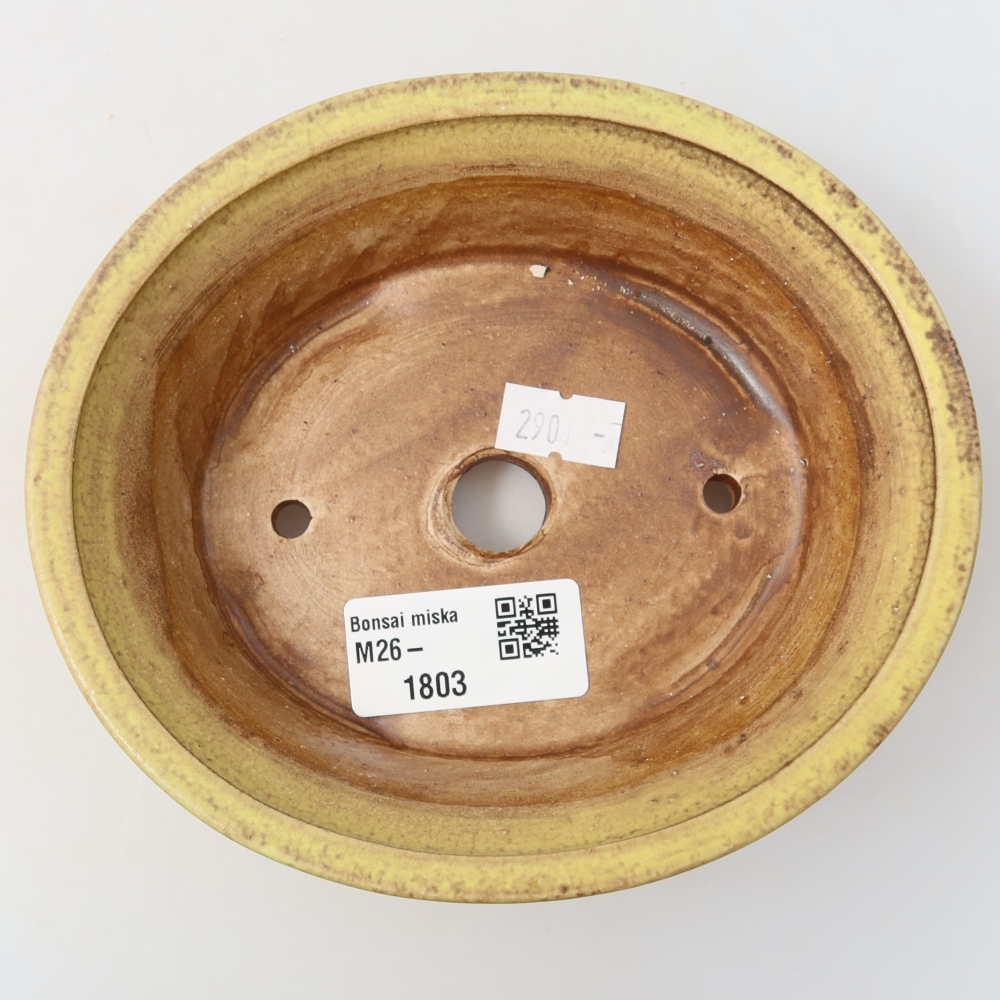 Pot à bonsaï en céramique 14,5 x 12,5 x 4 cm, couleur jaune