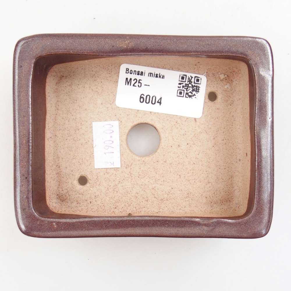 Bol à bonsaï en céramique 22 x 17 x 5 cm, vert