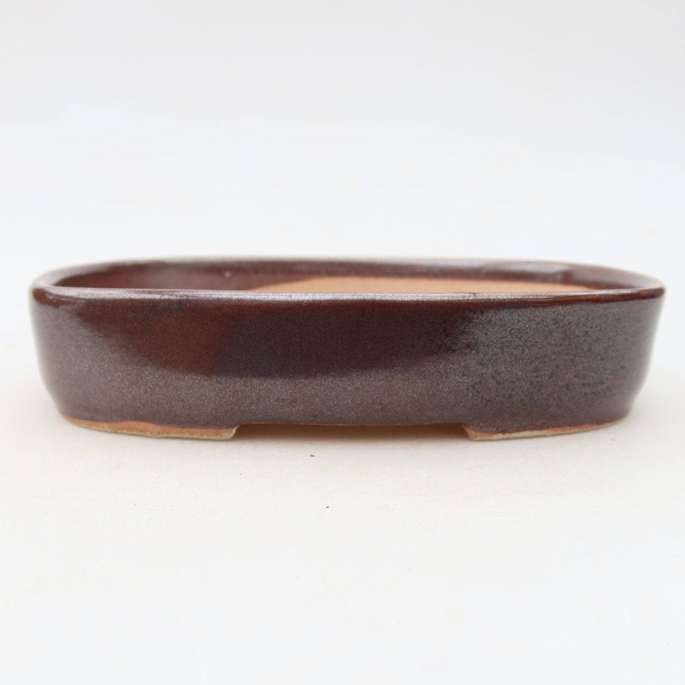 Pot à bonsaï en céramique 16 x 11 x 3,5 cm, couleur marron