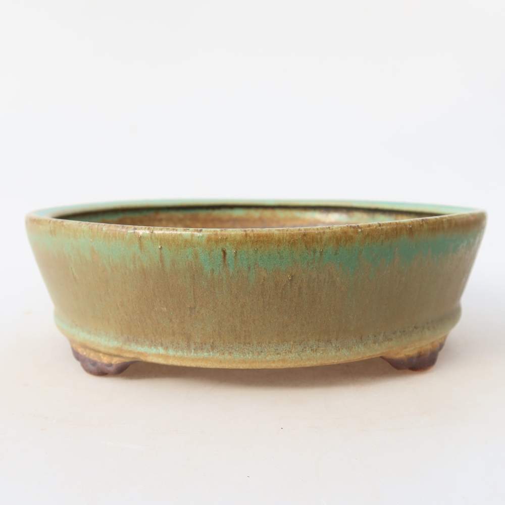 Bol à bonsaï en céramique 18 x 18 x 5 cm, vert