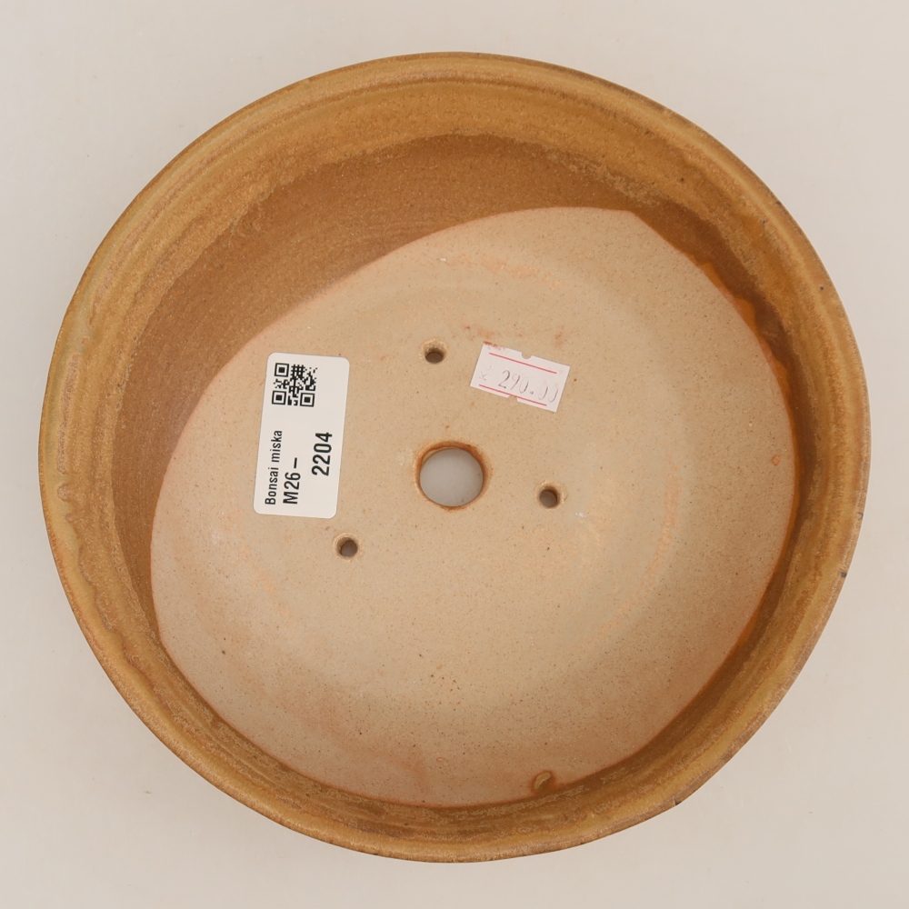 Pot à bonsaï en céramique 17,5 x 17,5 x 4,5 cm, couleur beige
