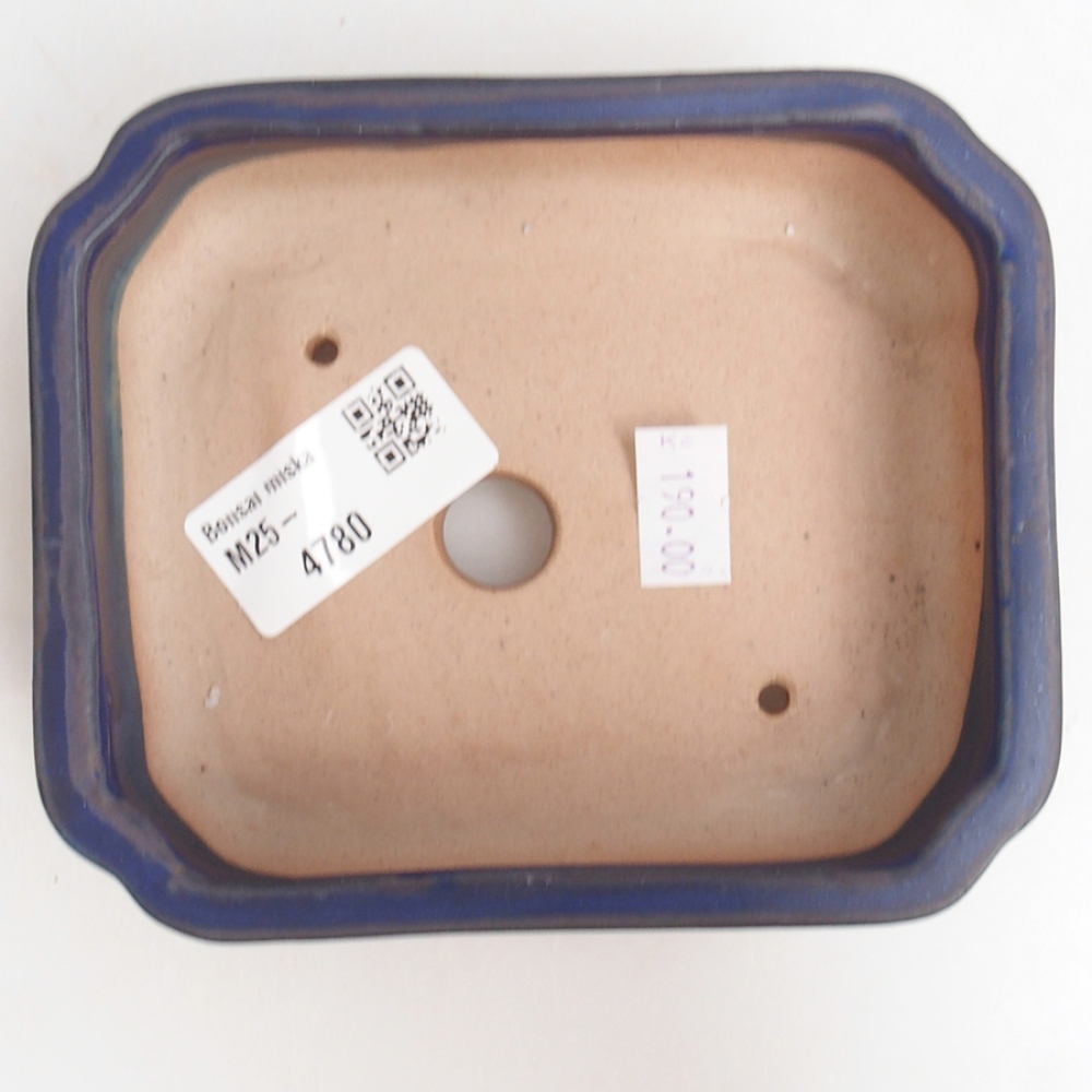 Bol à bonsaï en céramique 12 x 10 x 4 cm, couleur bleu