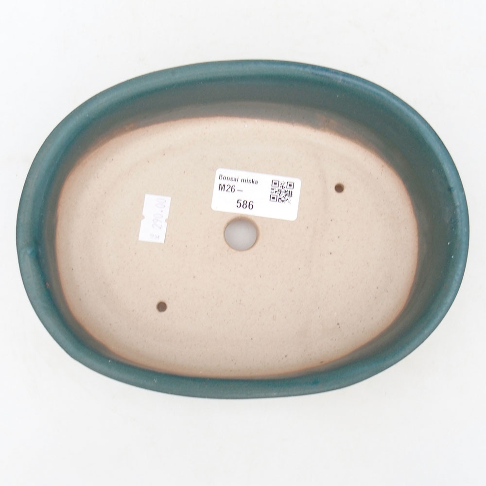 Bol à bonsaï en céramique 19 x 14 x 5 cm, couleur bleu