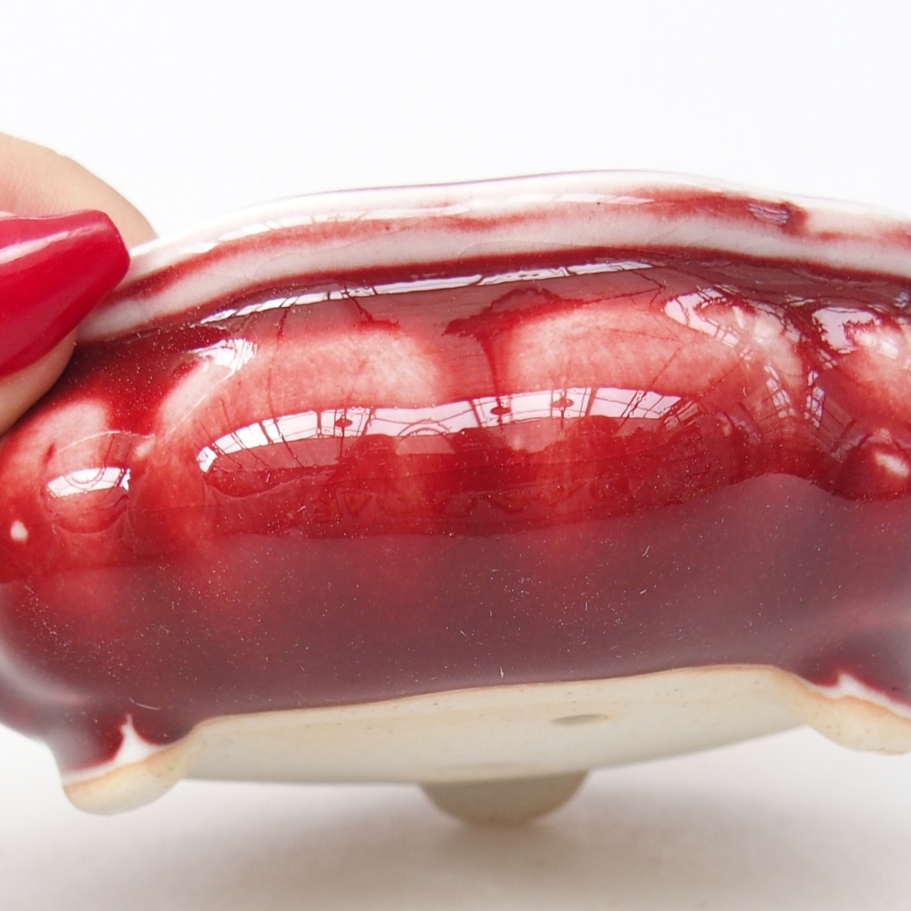 Bol à bonsaï en céramique 10 x 10 x 4 cm, couleur rouge