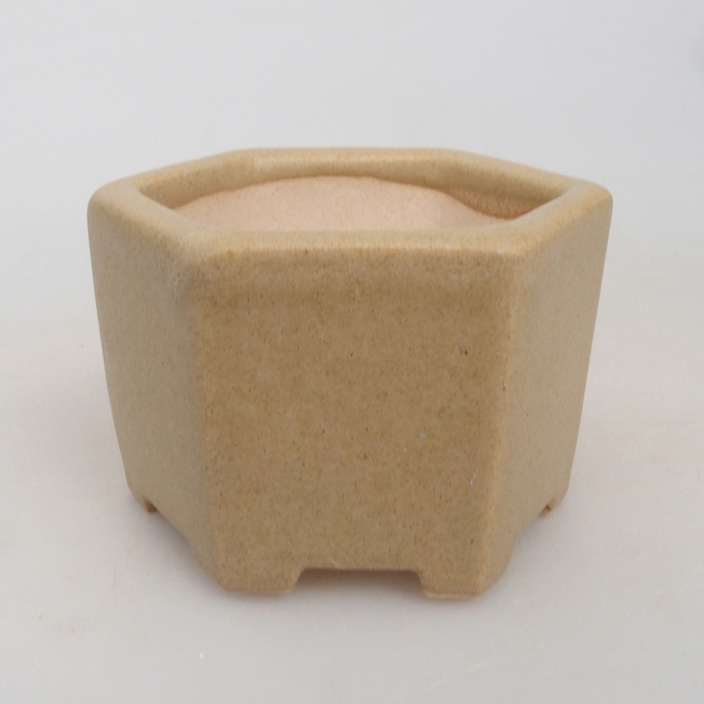 Mini bol à bonsaï 6,5 x 6 x 4 cm, brun