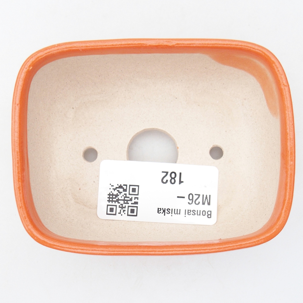 Mini bol bonsaï 8 x 6 x 3 cm, orange