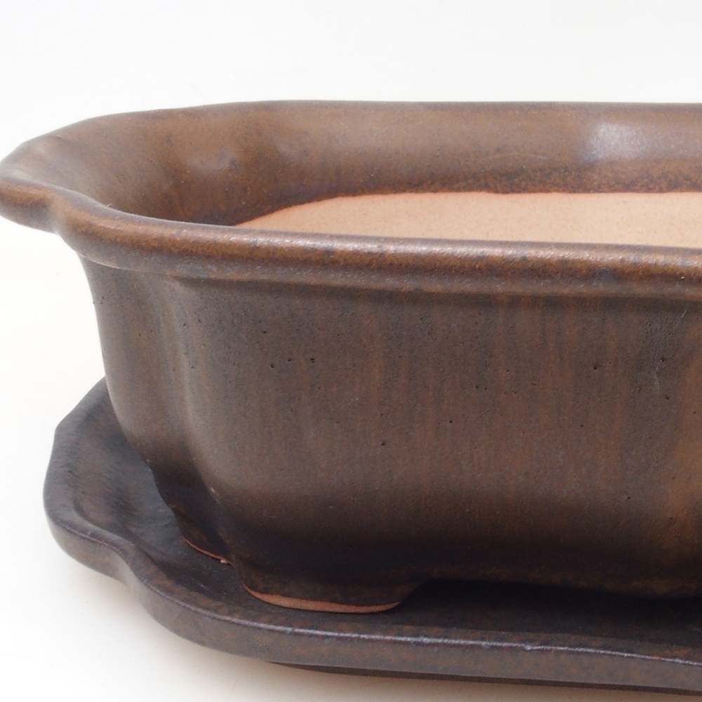 Bol bonsaï + soucoupe H51 - 18x14x5 cm - brun