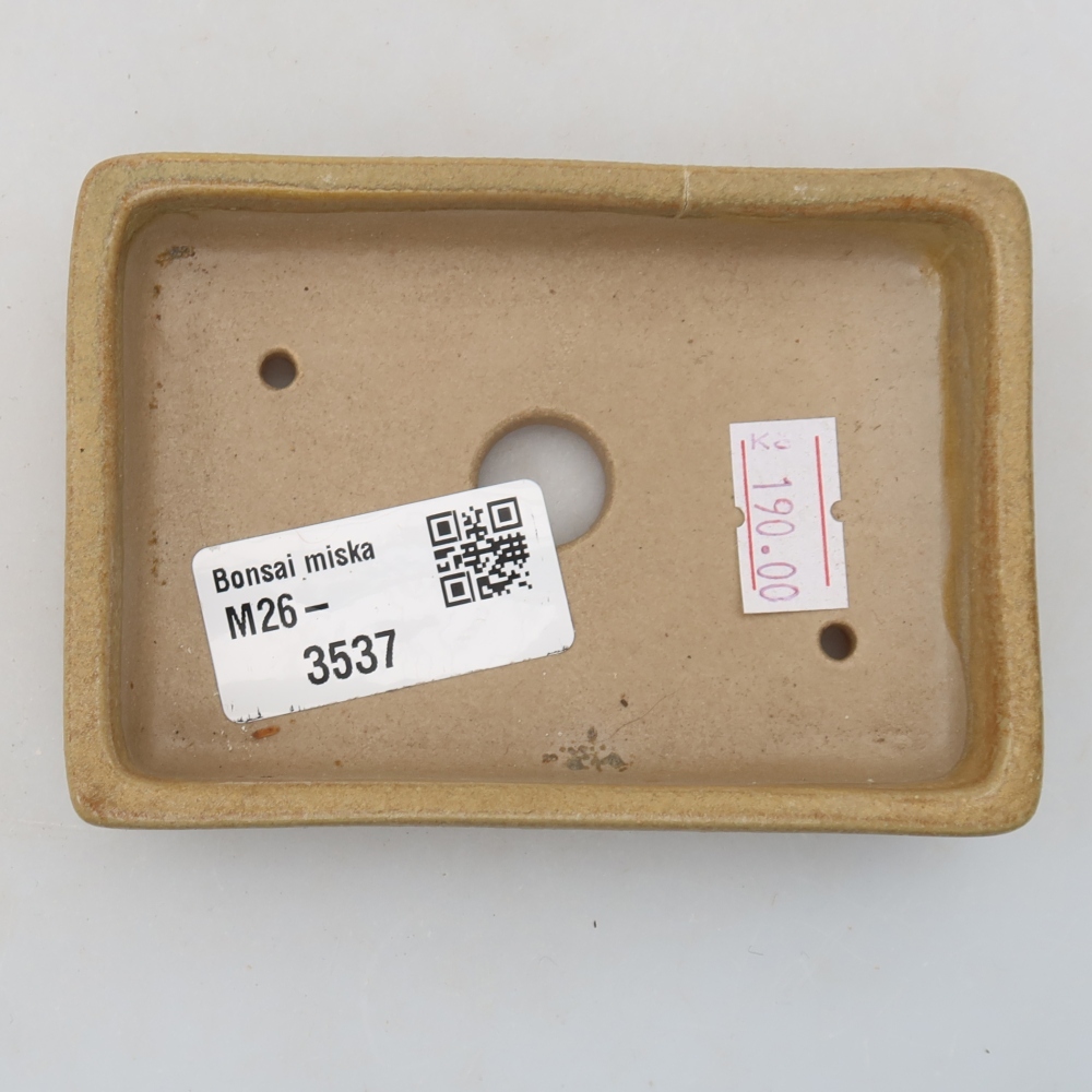 Bol à bonsaï en céramique 10 x 7 x 2 cm, couleur beige