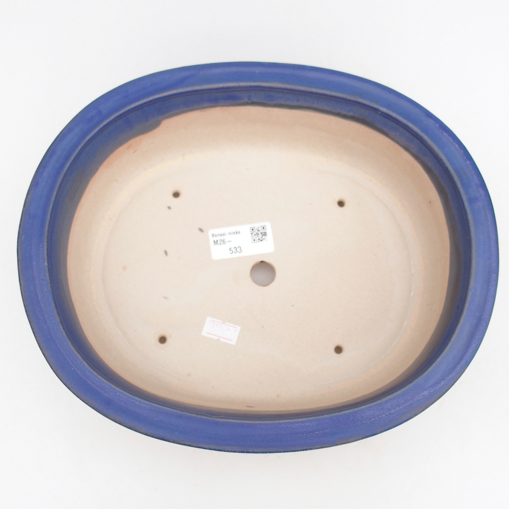 Bol à bonsaï en céramique 26 x 22 x 8 cm, couleur bleu
