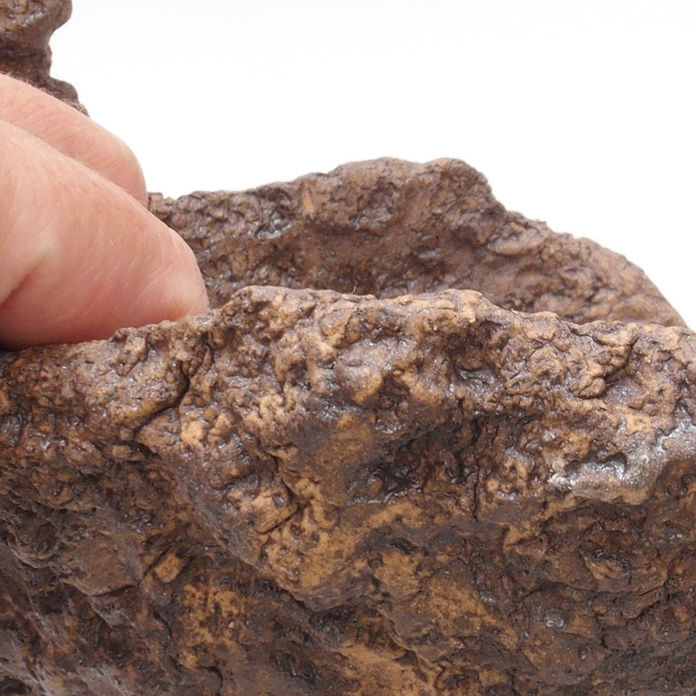 Coquille en céramique 16 x 16 x 16 cm , couleur marron