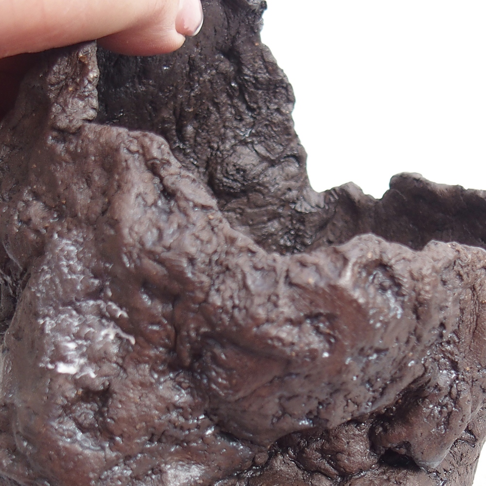 Coquille en céramique 11 x 10 x 14 cm , couleur marron