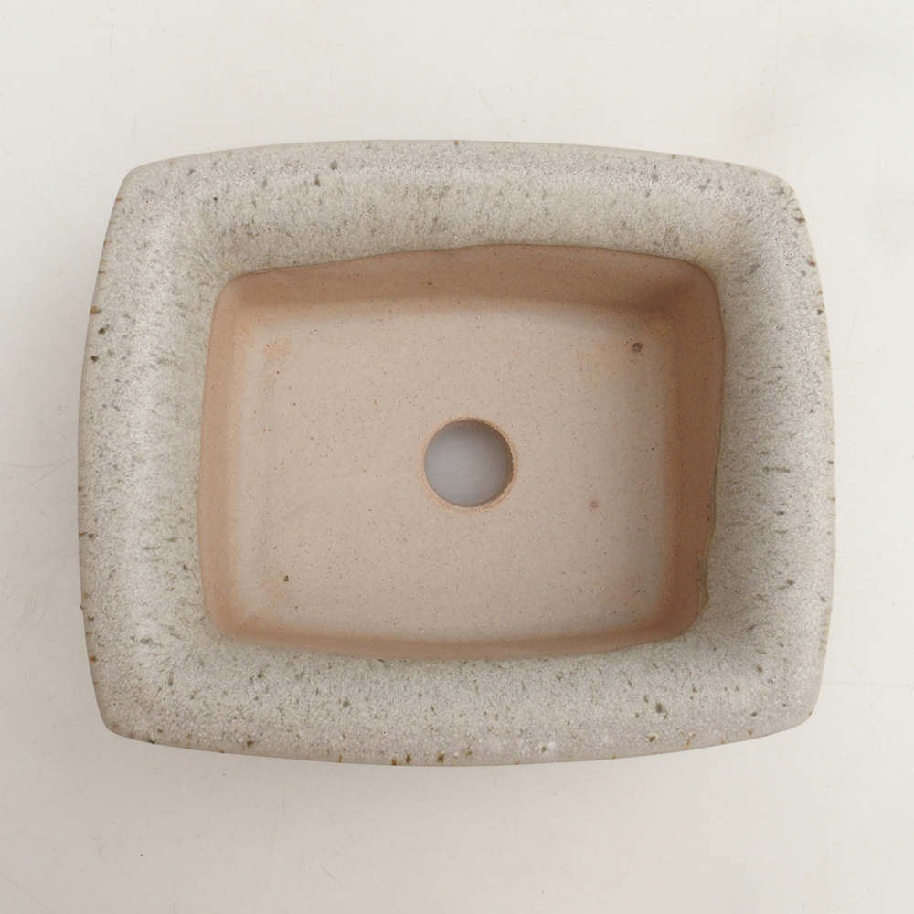 Coupe bonsaï H11 - 11,5 x 10 x 4 cm - beige