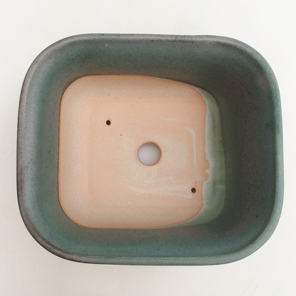 Coupe bonsaï H36 - 17 x 15 x 7,5 cm - vert