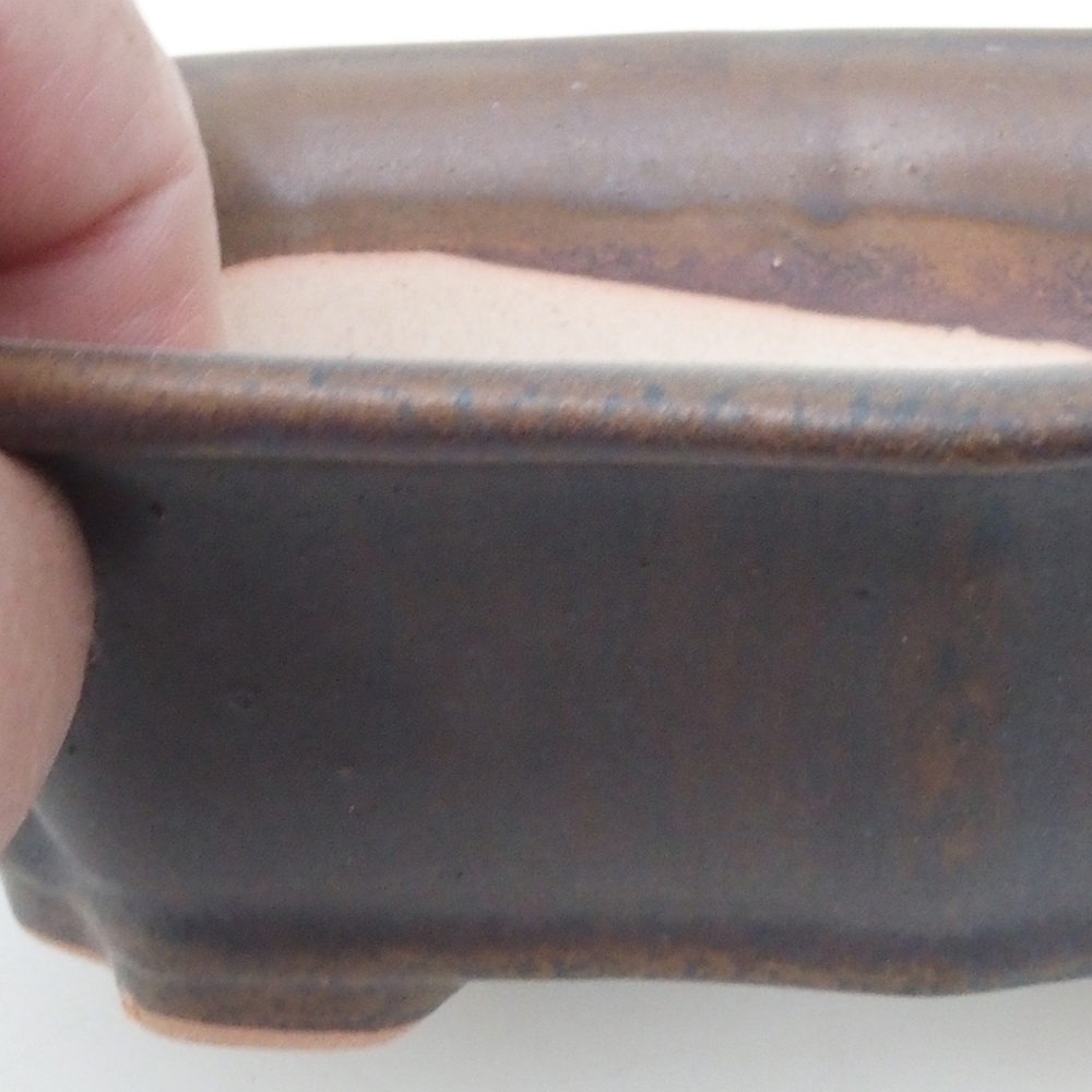 Bol à bonsaï H51 - 18 x 14 x 5 cm - brun