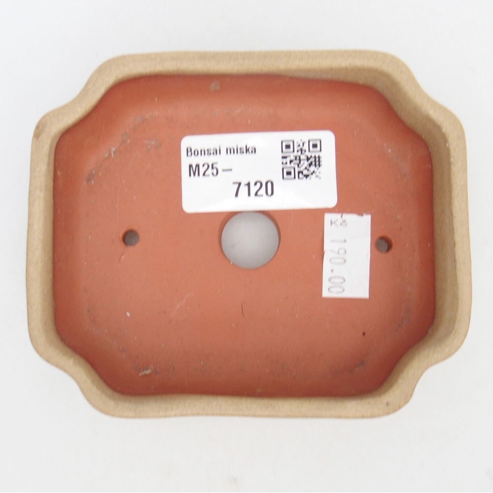 Bol à bonsaï en céramique 10 x 8,5 x 2,5 cm, couleur beige