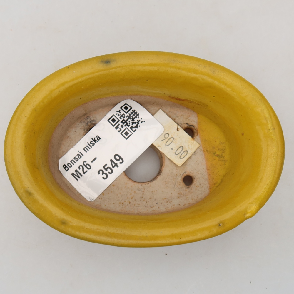 Pot à bonsaï en céramique 9,5 x 6,5 x 3 cm, couleur jaune