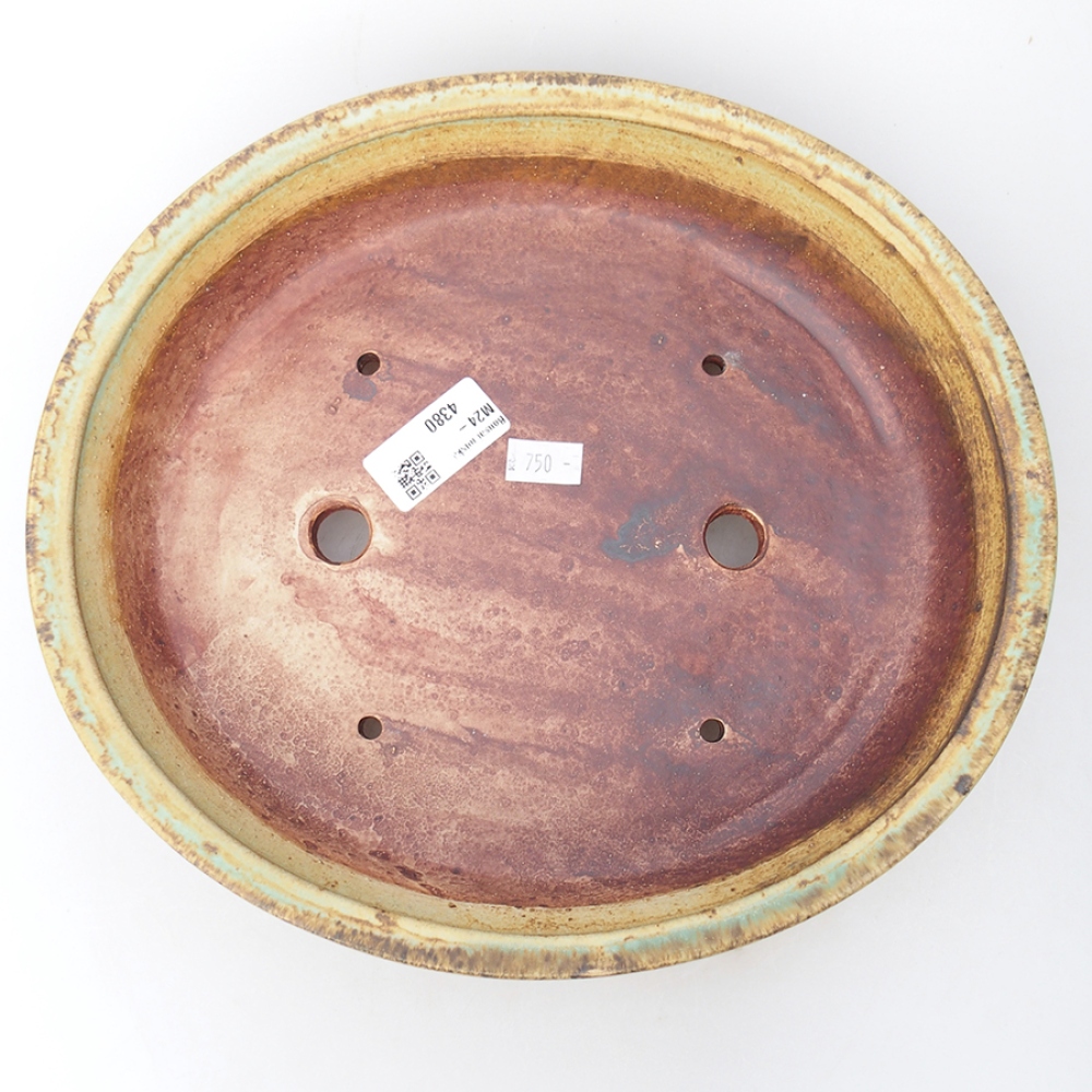 Bol à bonsaï en céramique 26,5 x 24 x 5,5 cm, vert