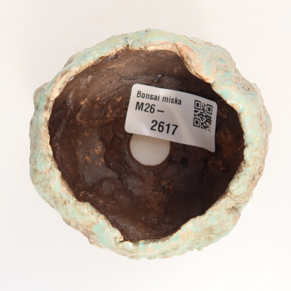 Coquille en céramique  7 x 7 x 6 cm, couleur verte