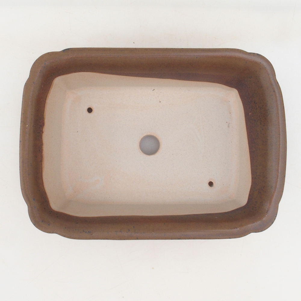 Bol à bonsaï H50 - 17 x 12,5 x 5,5 cm - brun