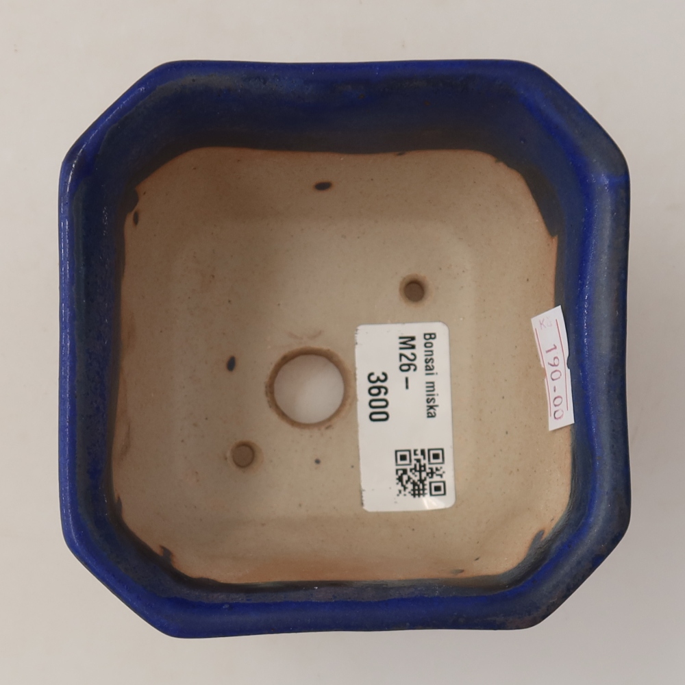 Pot à bonsaï en céramique 10 x 10 x 6,5 cm, couleur bleue