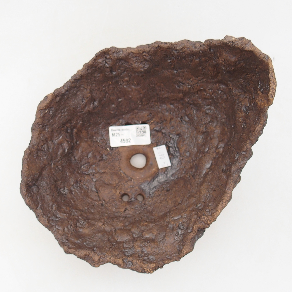 Coquille en céramique 18 x 17,5 x 16 cm , couleur marron