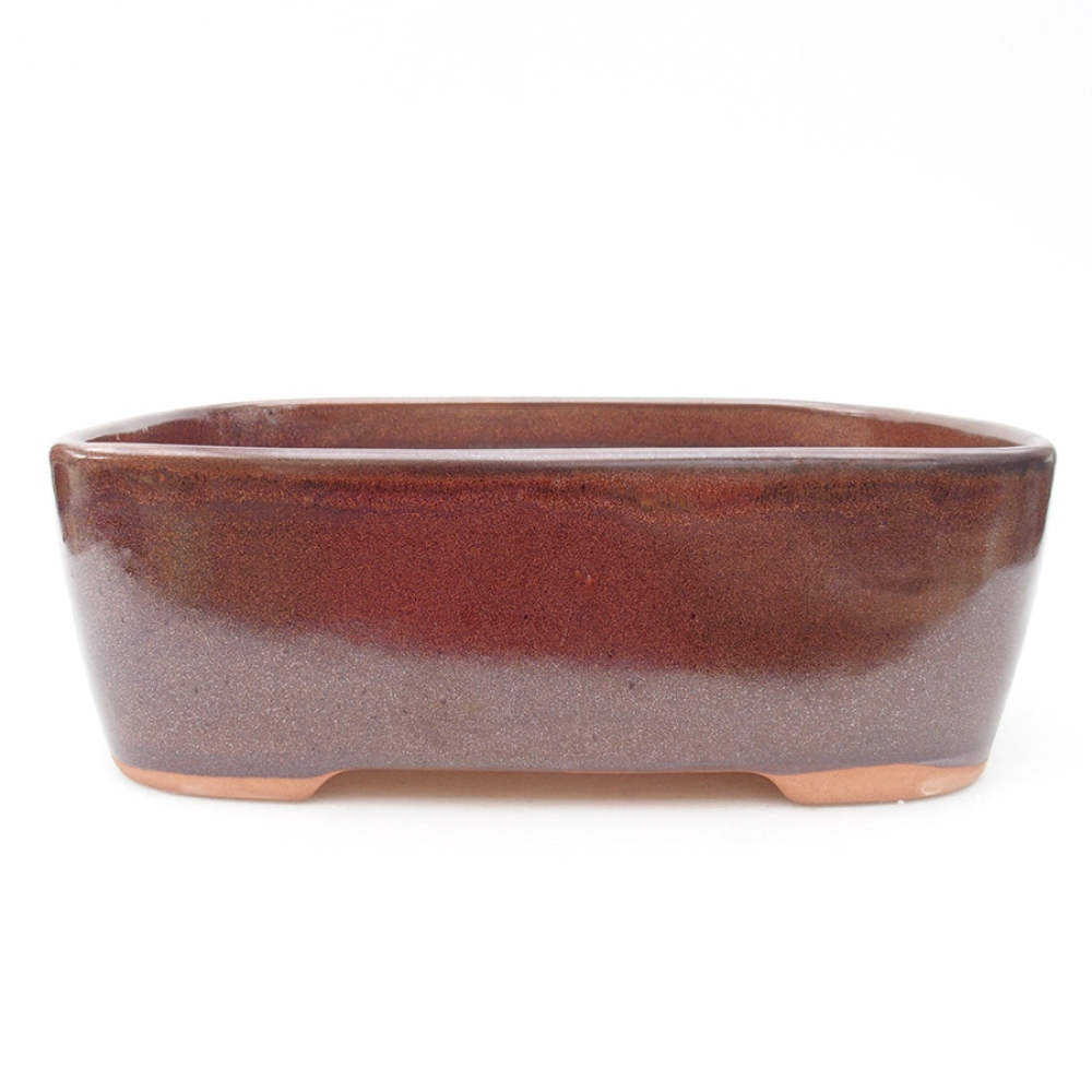 Bol à bonsaï en céramique 23 x 18 x 7,5 cm, brun