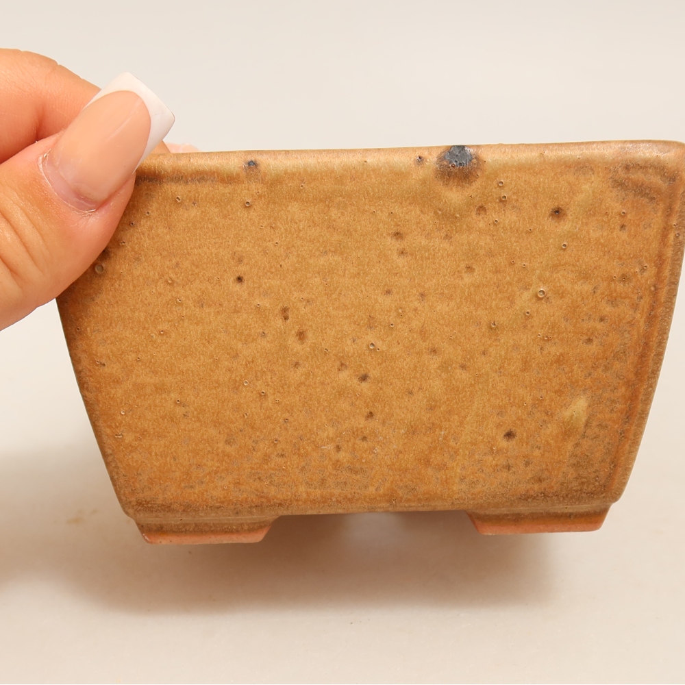 Pot à bonsaï en céramique 10,5 x 10,5 x 6,5 cm, couleur beige