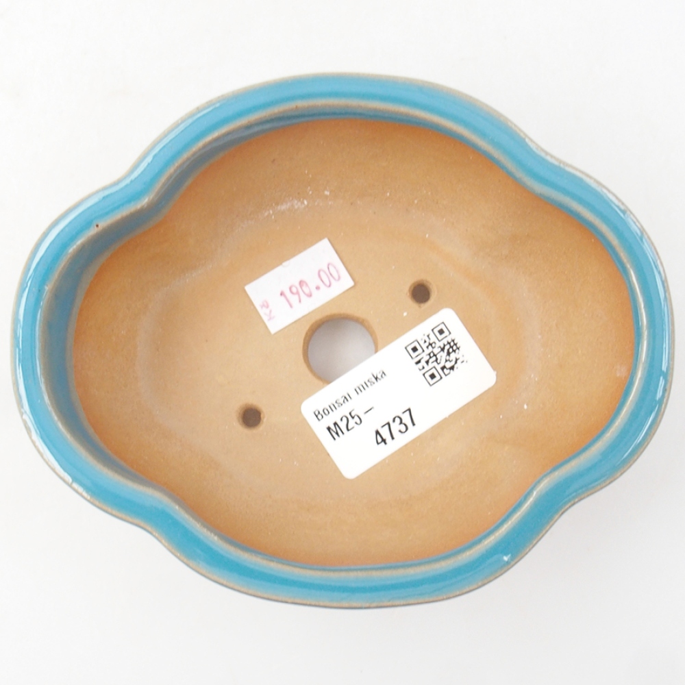 Bol à bonsaï en céramique 12,5 x 10 x 4,5 cm, couleur bleu