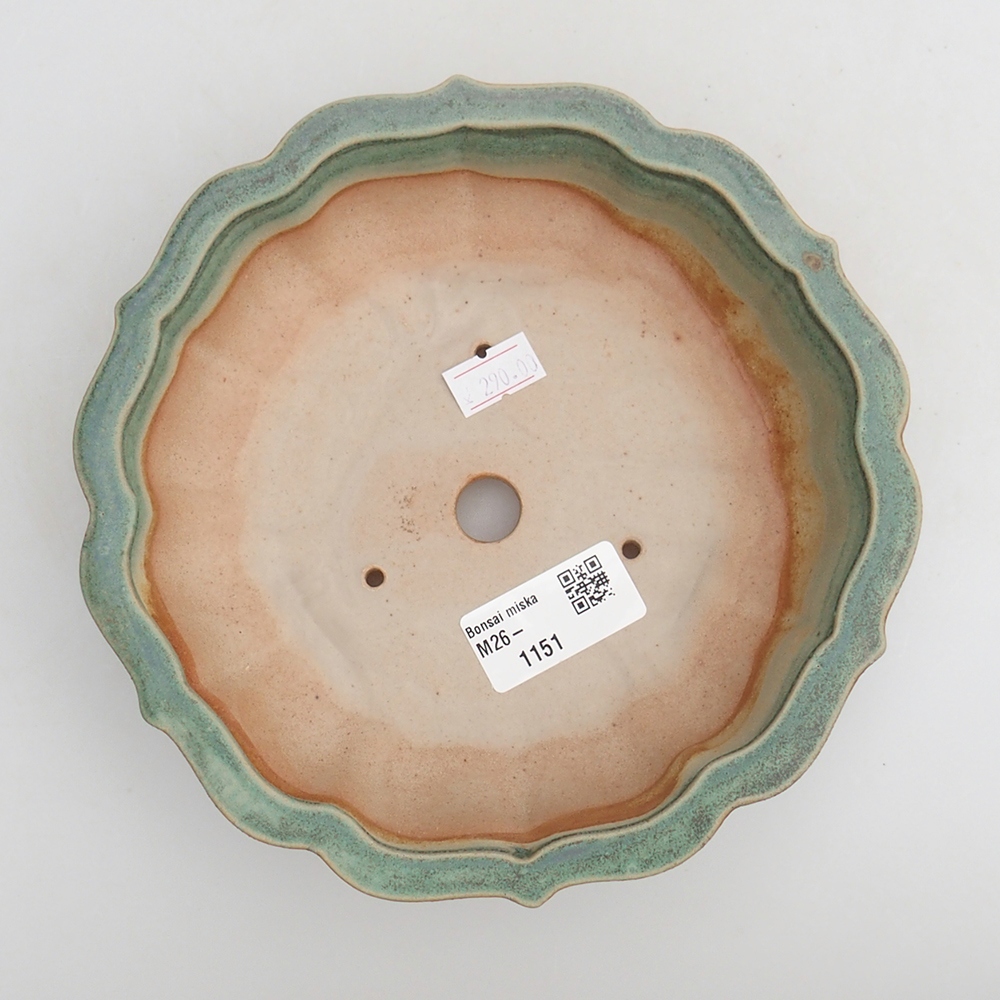 Bol à bonsaï en céramique 18 x 18 x 4,5 cm, vert