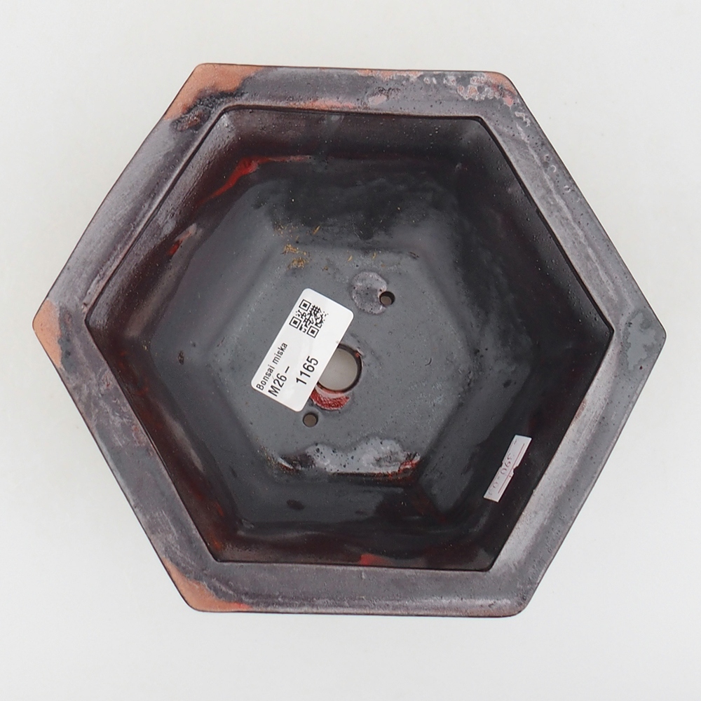 Bol à bonsaï en céramique 18 x 16 x 9 cm, couleur noir rouge