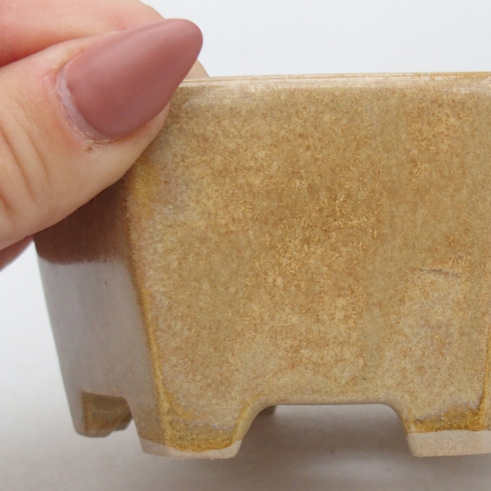 Bol à bonsaï en céramique 10,5 x 9,5 x 5 cm, couleur beige
