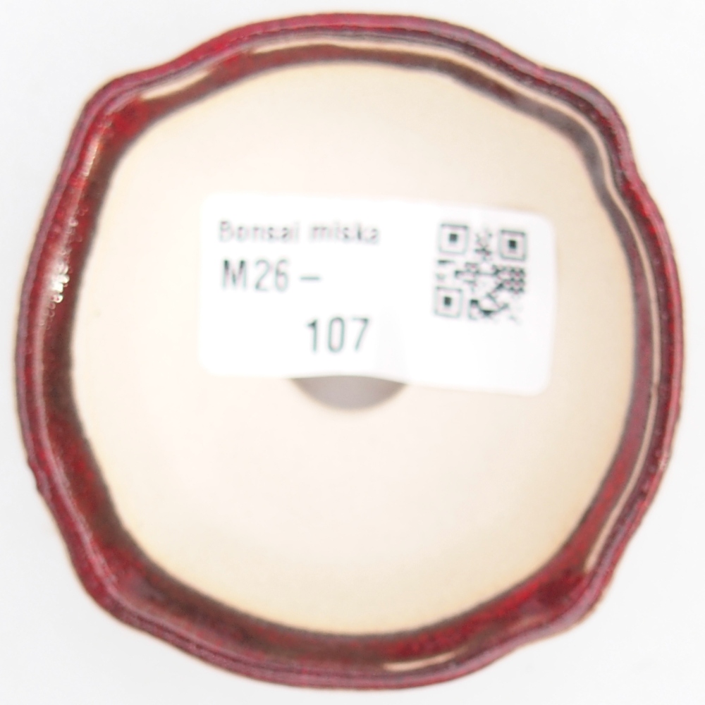 Mini bol bonsaï 6,5 x 6,5 x 3 cm, couleur rouge