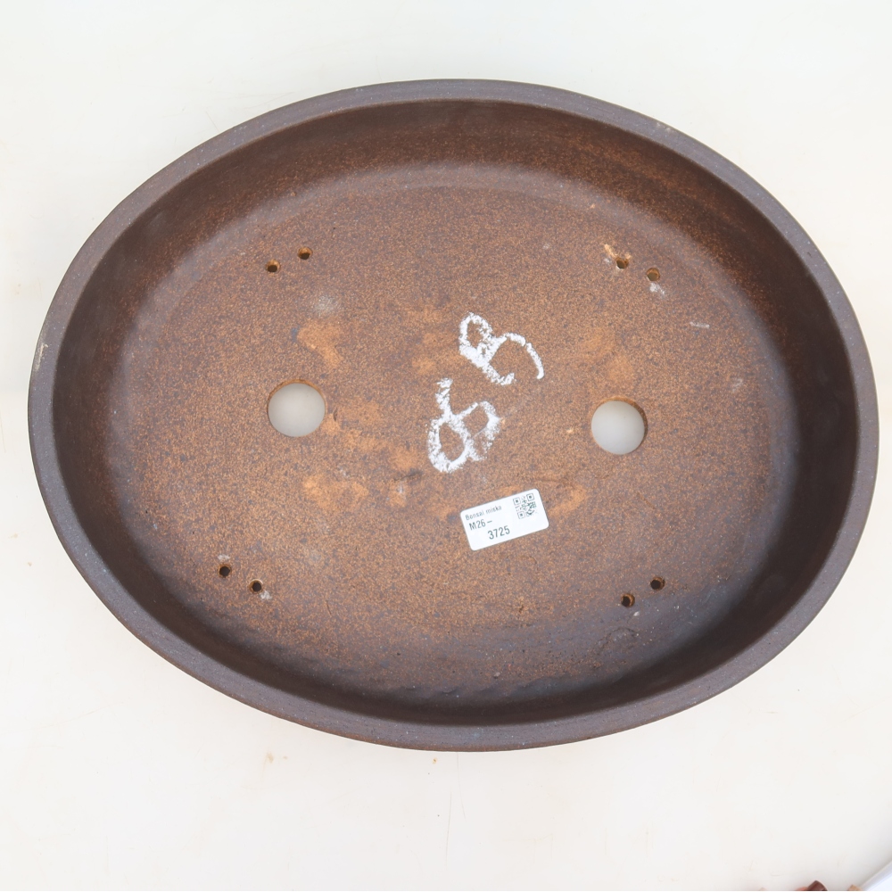 Pot à bonsaï en céramique 38 x 30,5 x 8 cm, couleur marron