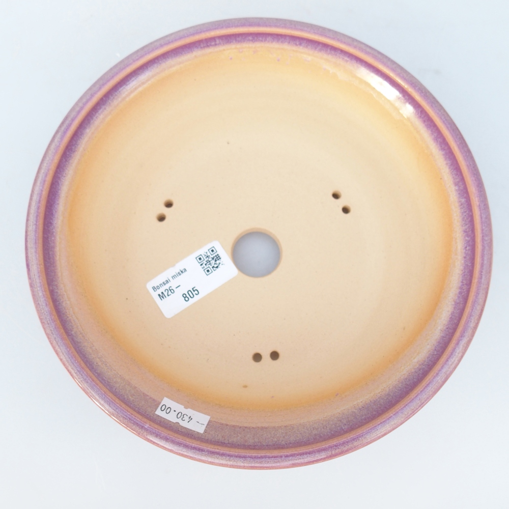 Bol à bonsaï en céramique 19,5 x 19,5 x 5,5 cm, couleur violet