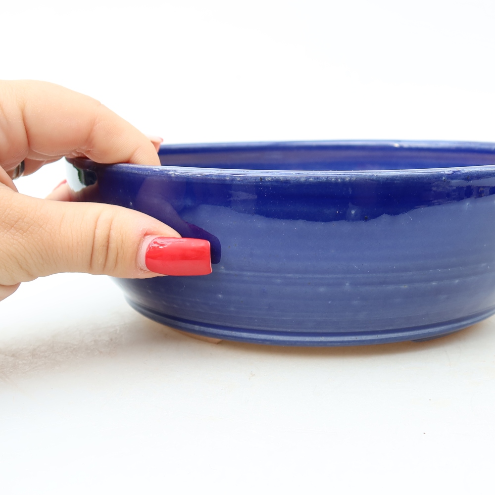 Bol à bonsaï en céramique 19 x 19 x 6 cm, couleur bleu