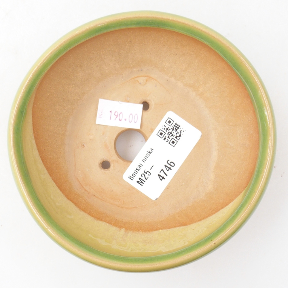 Bol à bonsaï en céramique 11 x 11 x 5 cm, vert