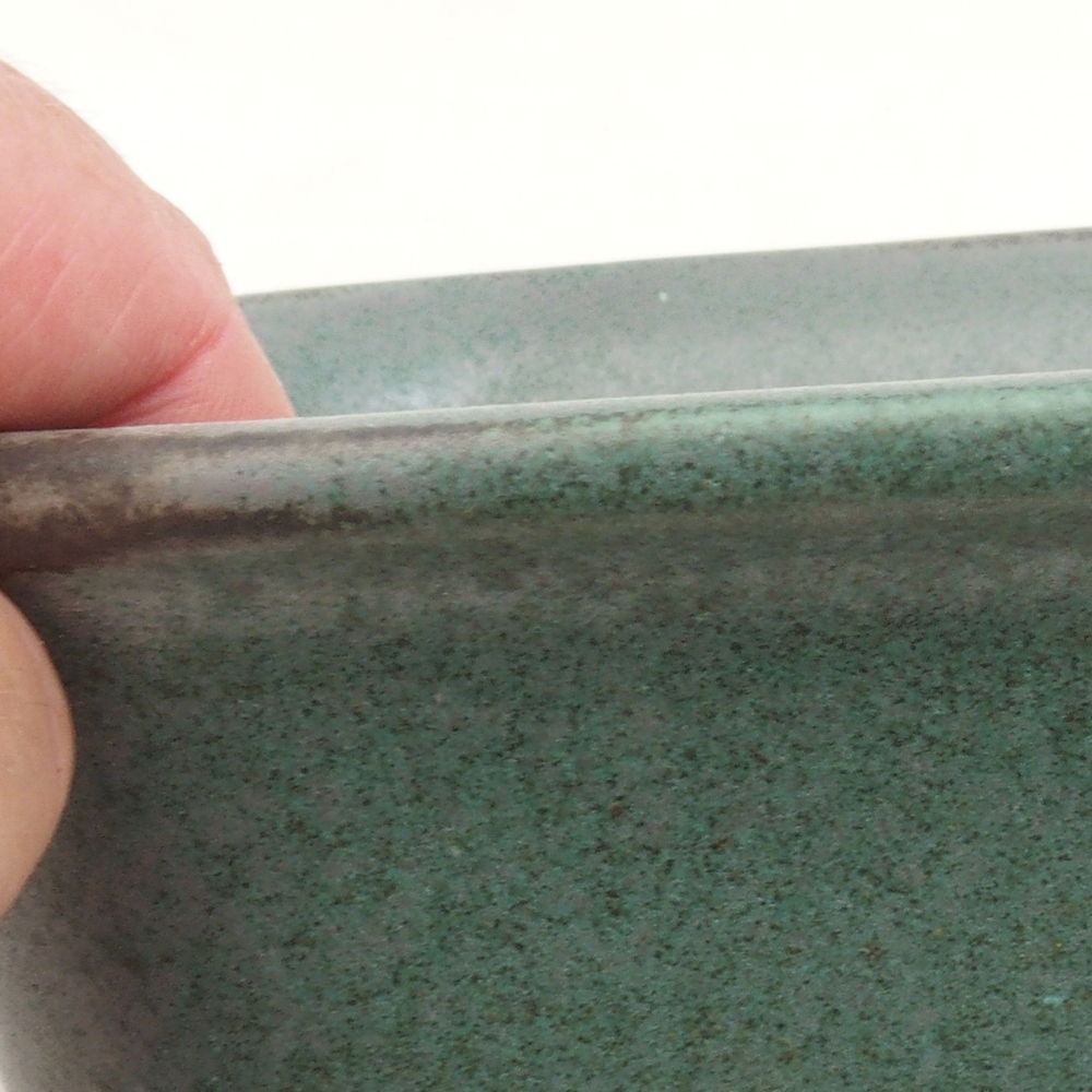 Coupe bonsaï H36 - 17 x 15 x 7,5 cm - vert