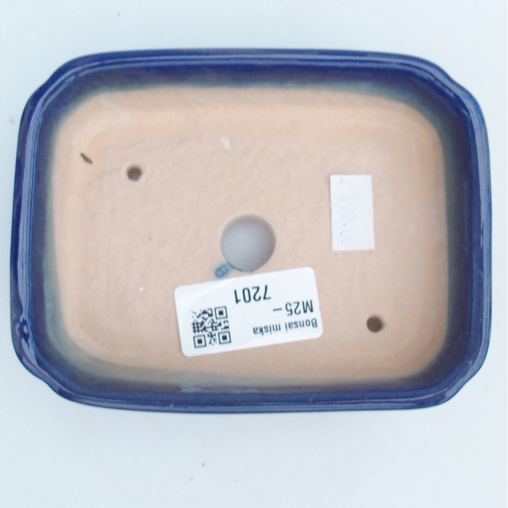 Bol à bonsaï en céramique 12 x 9 x 3 cm, couleur bleu