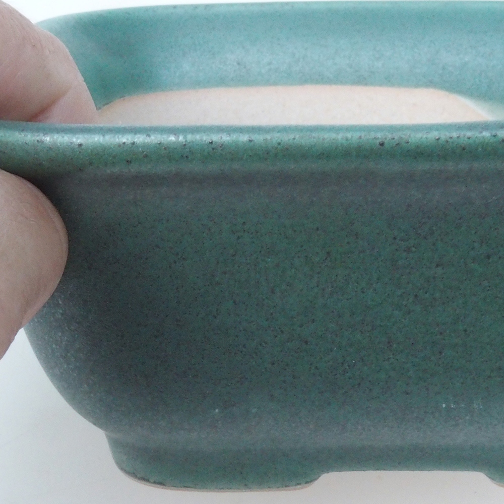 Coupe bonsaï H37 - 14,5 x 13 x 6,5 cm - verte