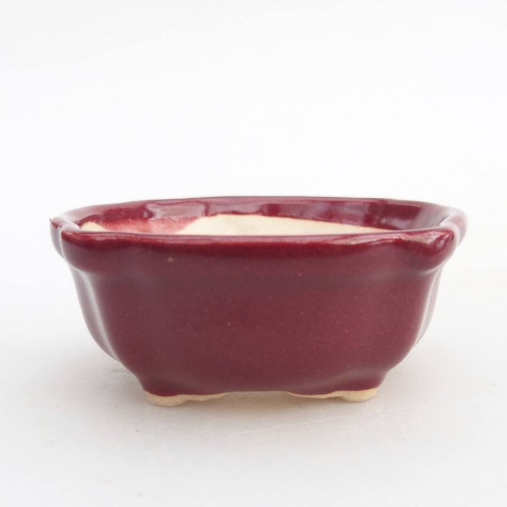 Mini bol bonsaï 6,5 x 6,5 x 3 cm, bordeaux