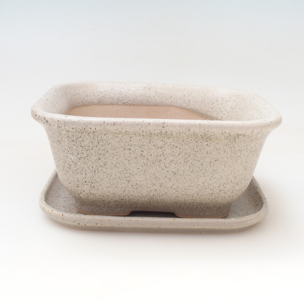 Bol bonsaï + soucoupe H38 - 12x10x5,5 cm - beige