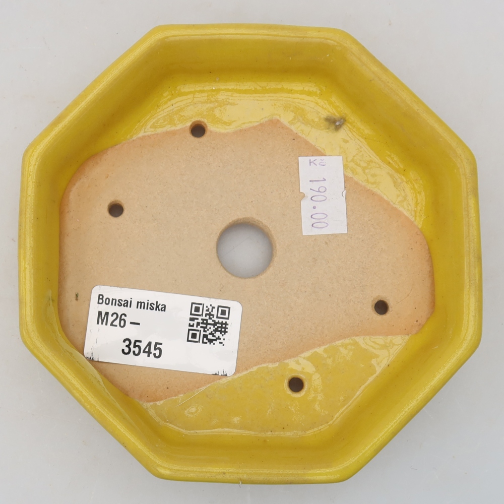 Pot à bonsaï en céramique 11,5 x 11,5 x 2,5 cm, couleur jaune