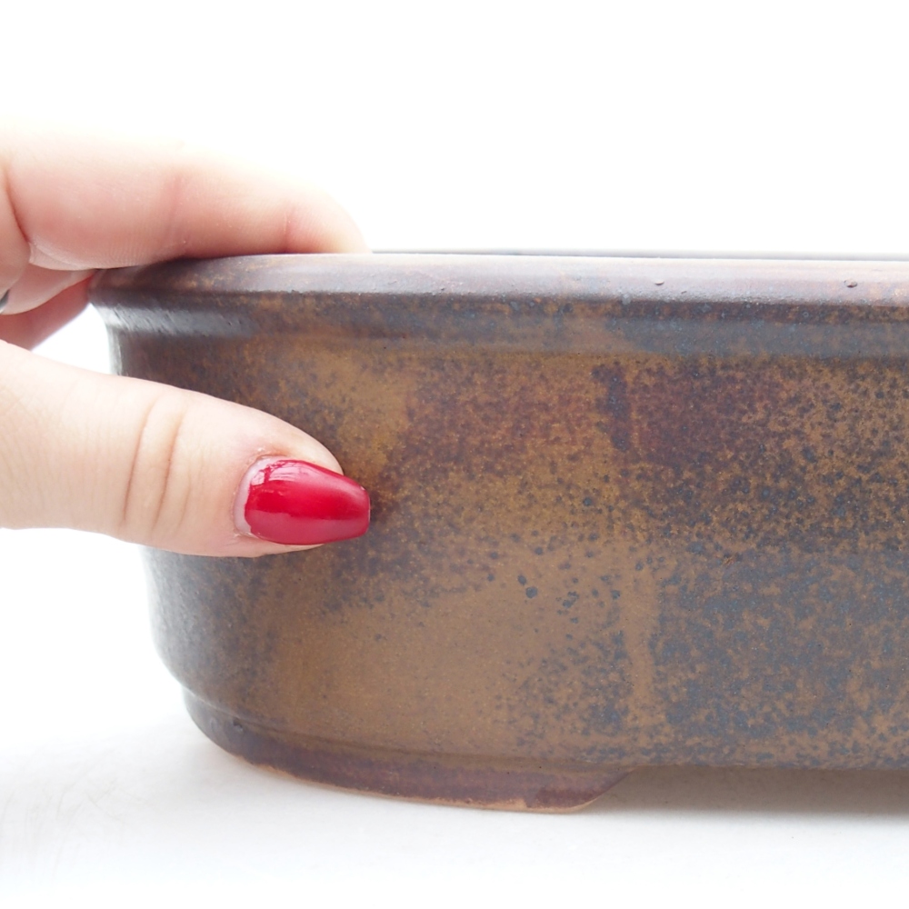 Bol à bonsaï en céramique 32 x 25 x 7,5 cm, brun