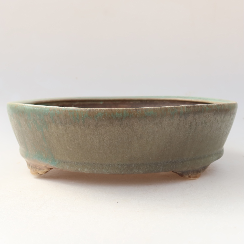 Bol à bonsaï en céramique 21,5 x 21,5 x 6 cm, vert