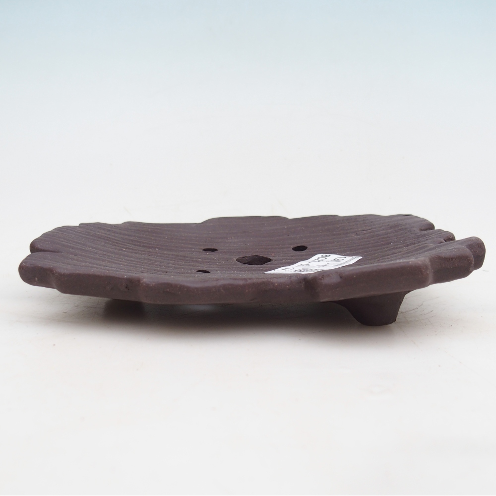 Coquille en céramique 16 x 12 x 3 cm , couleur marron