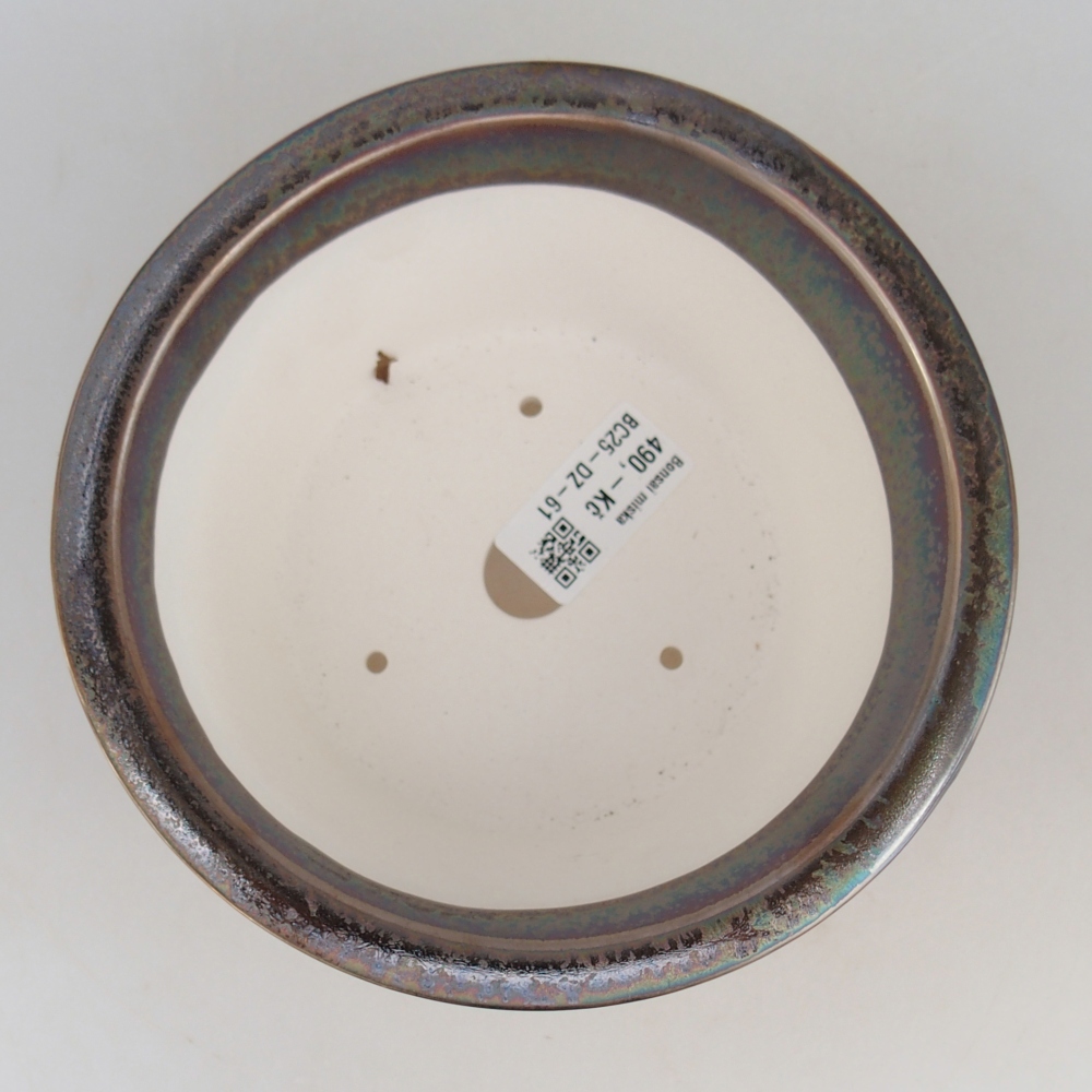 Bol à bonsaï en céramique 16 x 16 x 8,5 cm, couleur or