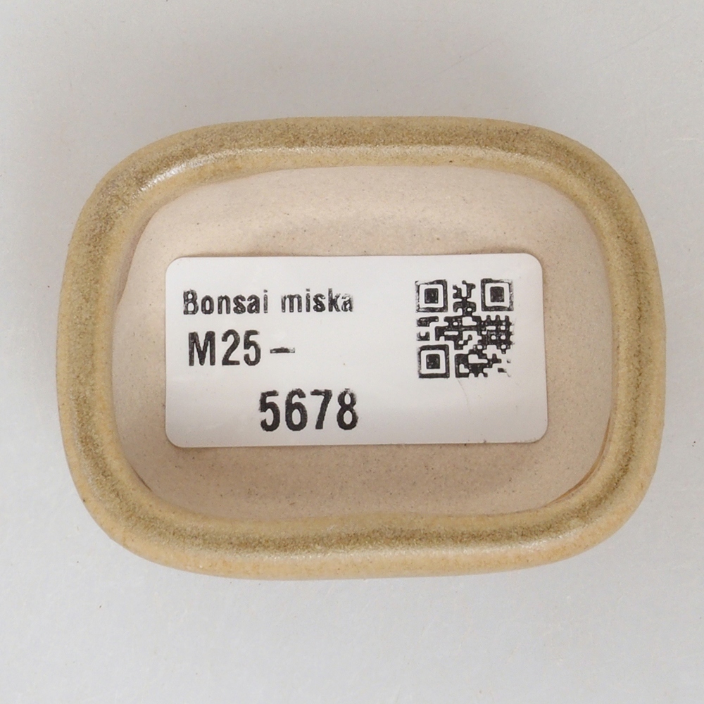 Mini bol bonsaï 5,5 x 4 x 2 cm, brun