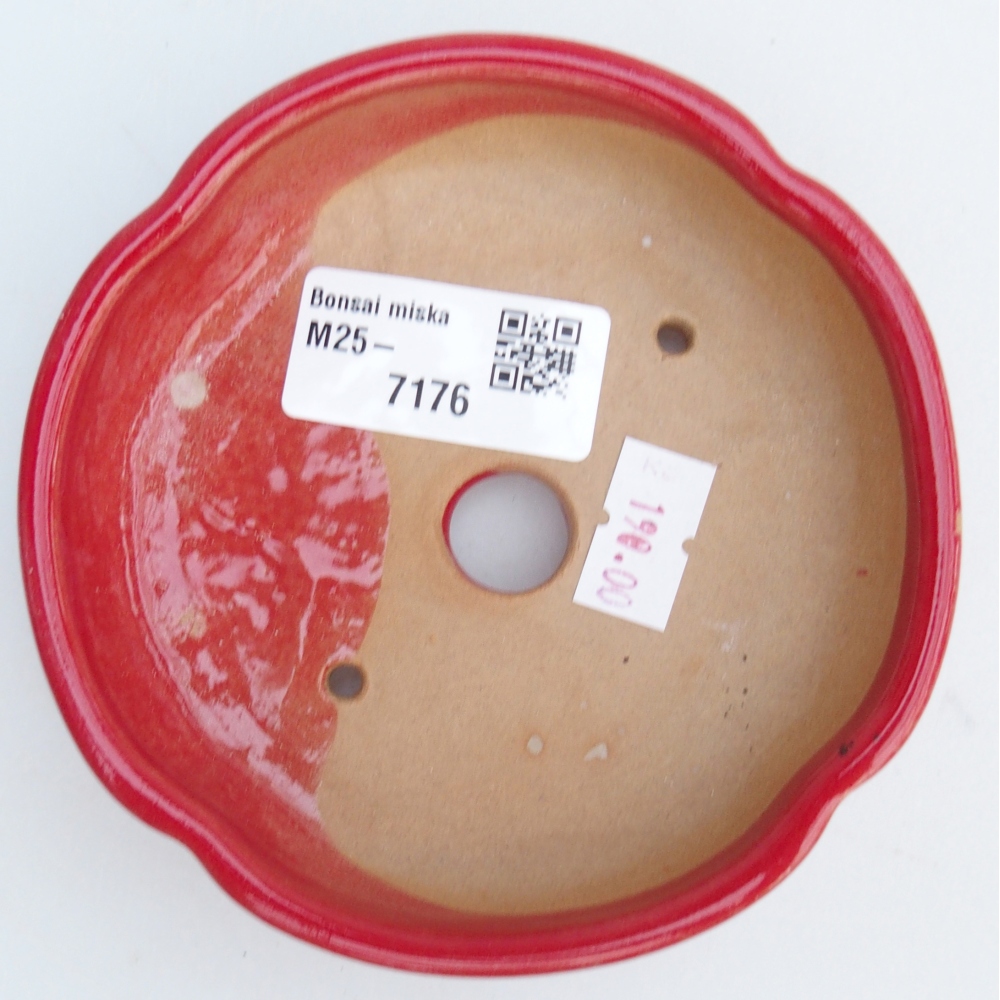 Bol à bonsaï en céramique 11 x 11 x 3 cm, couleur rouge