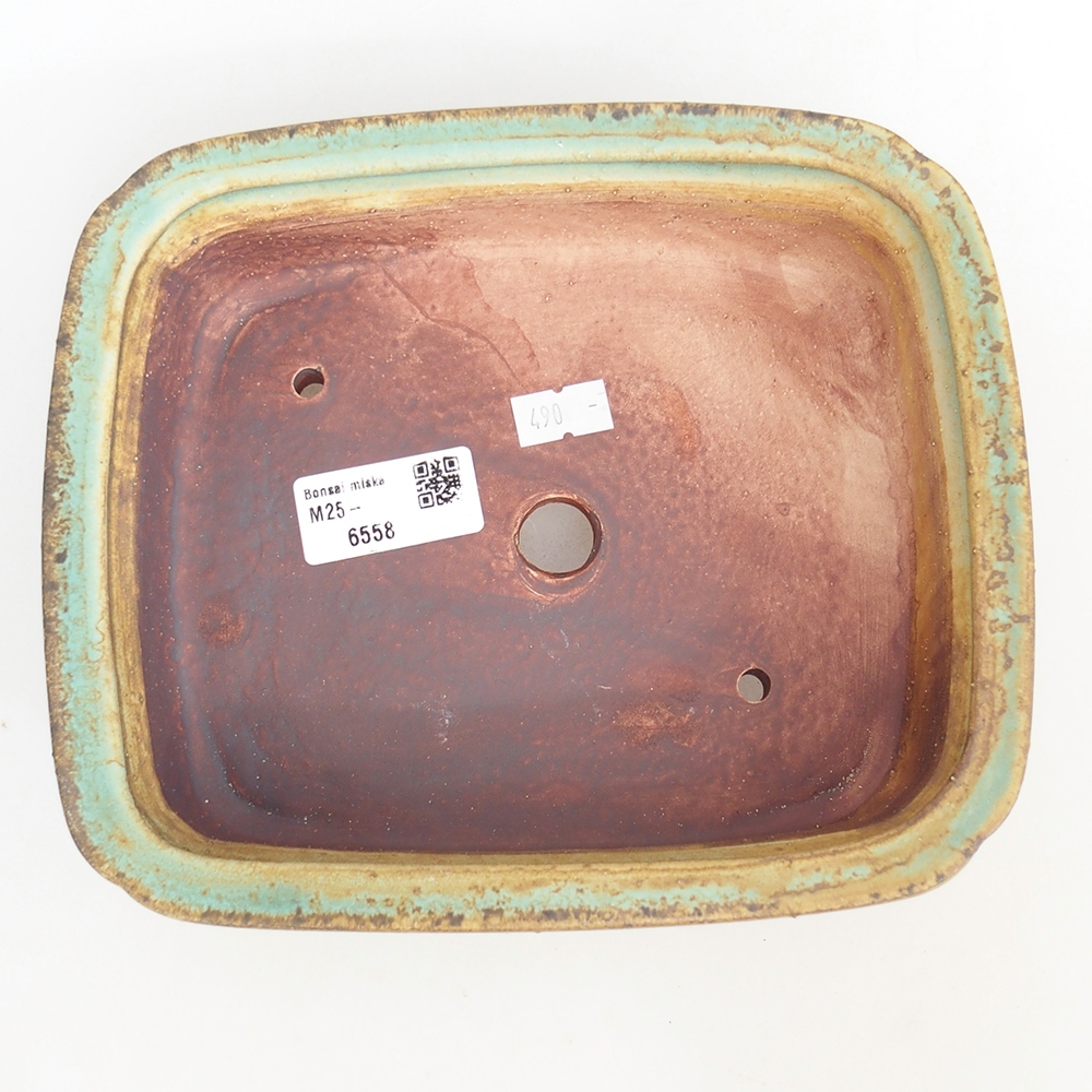 Bol à bonsaï en céramique 20 x 17 x 6 cm, vert